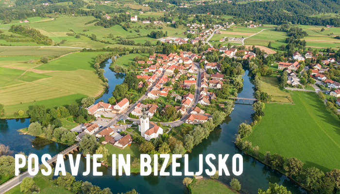 POSAVJE IN BIZELJSKO