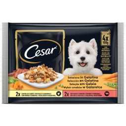 pasja hrana s piščancem in zelenjavnim ragujem/govedino in korenje v omaki, cesar, 4 x 100 g