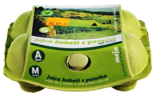 jajca kokoši s pašnika m