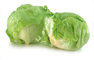 solata ledenka, cena za kos