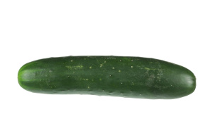 dolga kumara, kos