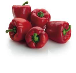 rdeča paprika, cena za kg