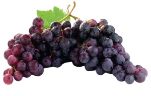 rdeče namizno grozdje red globe, cena za kg