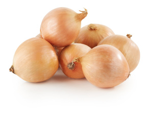 čebula, cena za kg